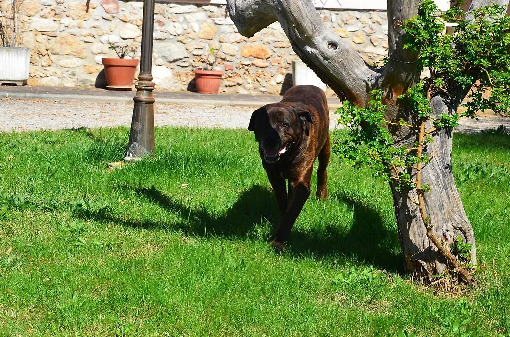 Agriturismo Masseto Hotel Campiglia Marittima